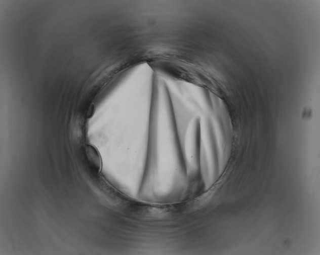 X0000090880166200708241948