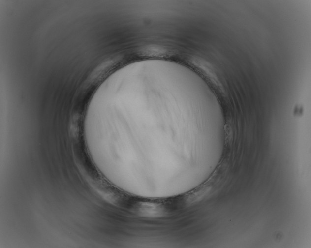 X0000090880167200708241948