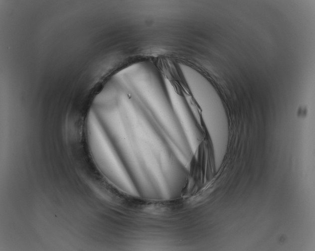 X0000090880168200708241948