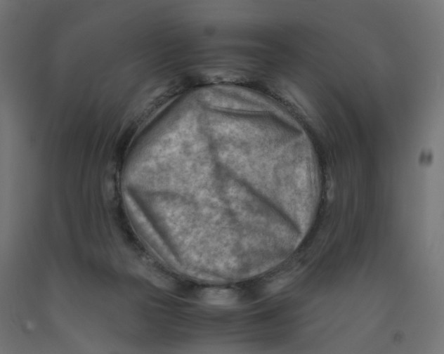 X0000090880169200708241948