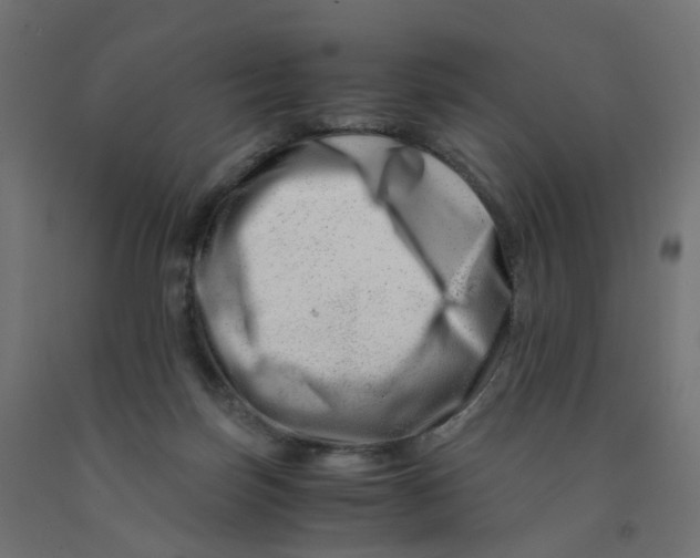 X0000090880171200708241948