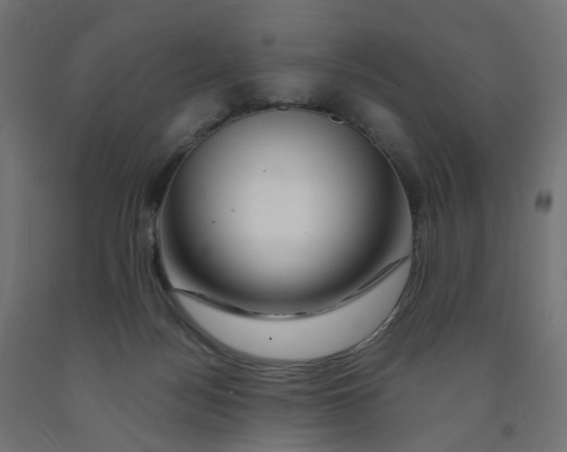 X0000090880172200708241948