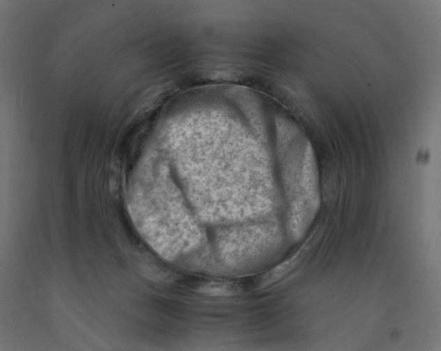 X0000090880175200708241948