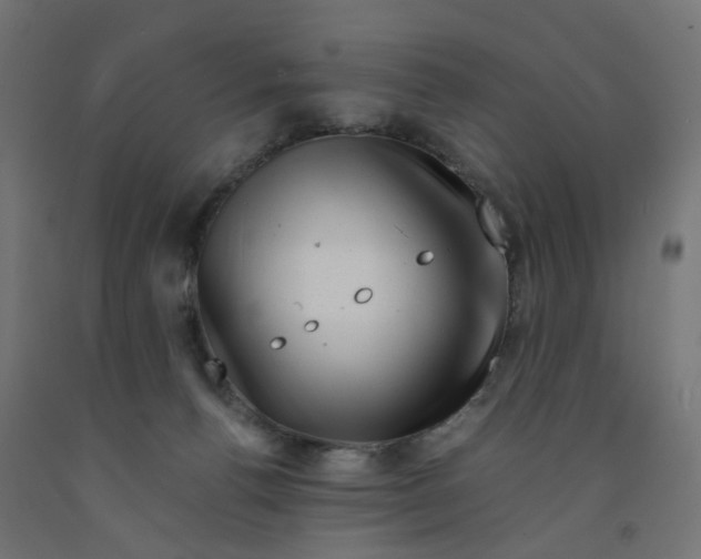 X0000090880176200708241948