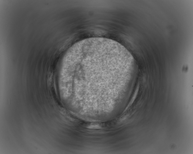 X0000090880177200708241948