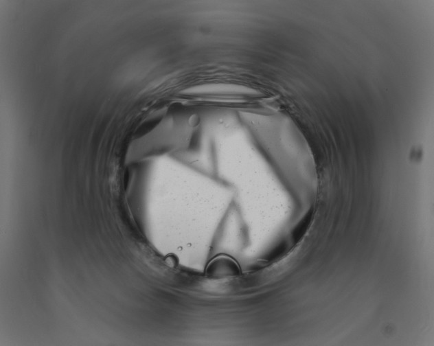 X0000090880178200708241948