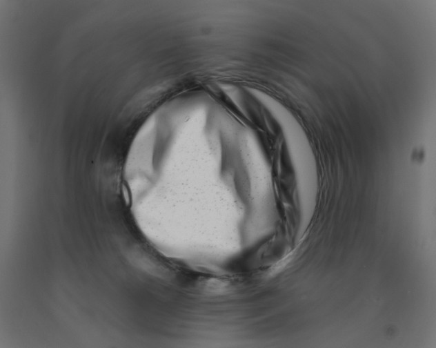 X0000090880180200708241948