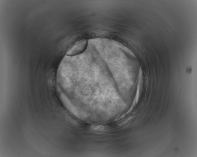 X0000090880181200708241948