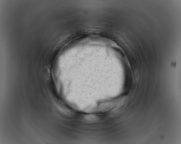 X0000090880183200708241948