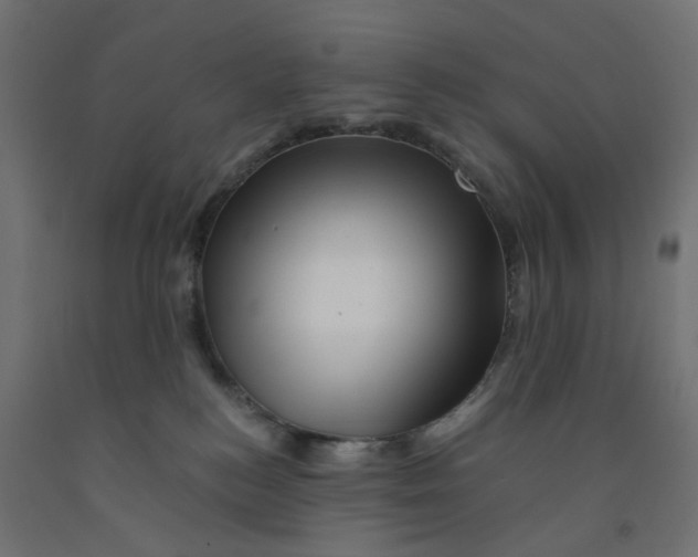 X0000090880184200708241948