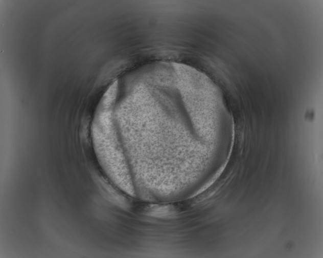 X0000090880185200708241948