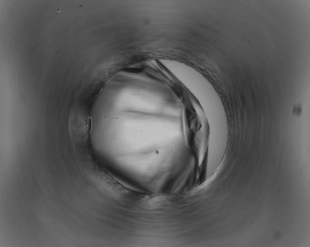 X0000090880186200708241948