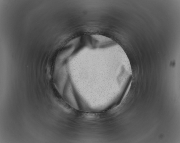 X0000090880187200708241948