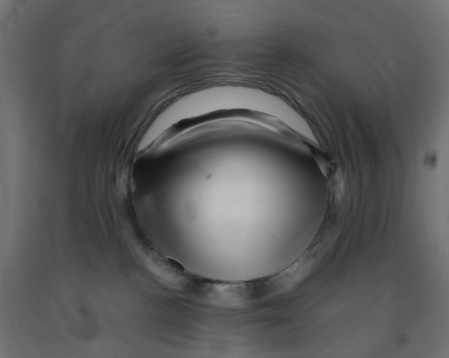 X0000090880188200708241948