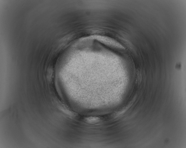 X0000090880189200708241948