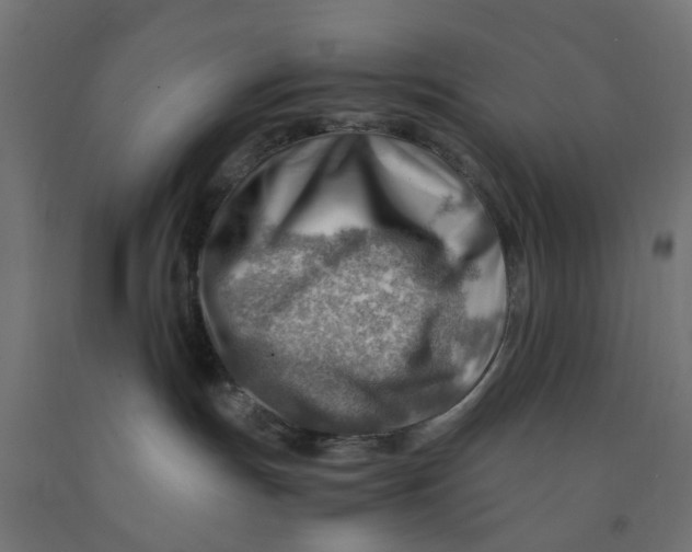 X0000090880191200708241948