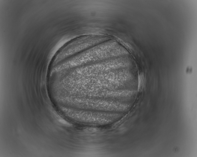 X0000090880195200708241947