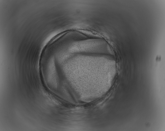 X0000090880196200708241947