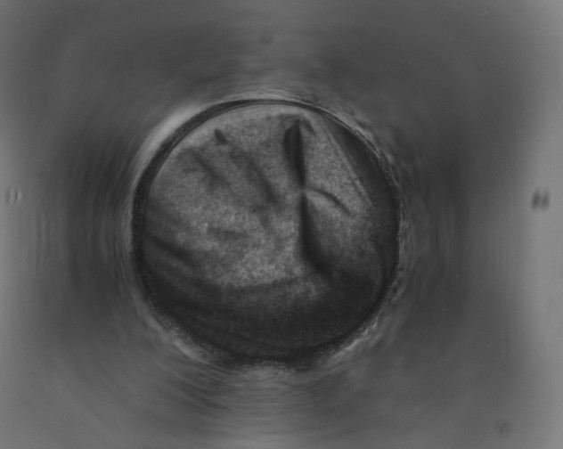 X0000090880200200708241947