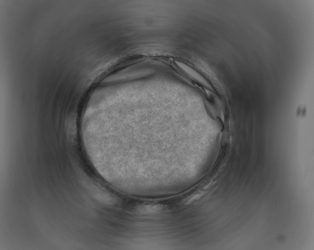 X0000090880202200708241947