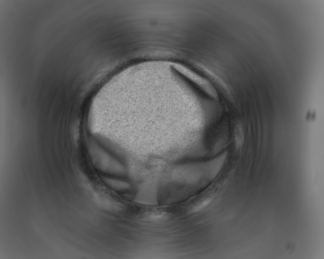 X0000090880206200708241947