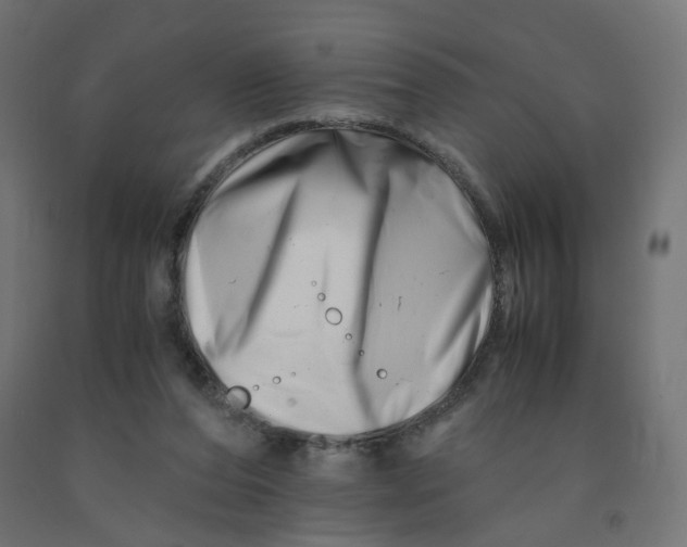 X0000090880208200708241947