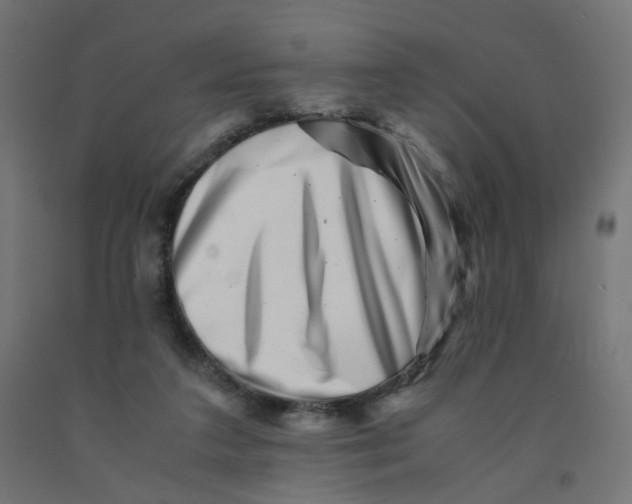 X0000090880211200708241947