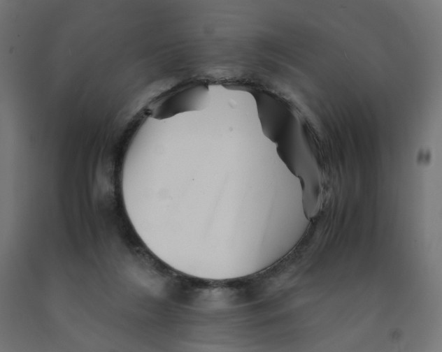 X0000090880212200708241947