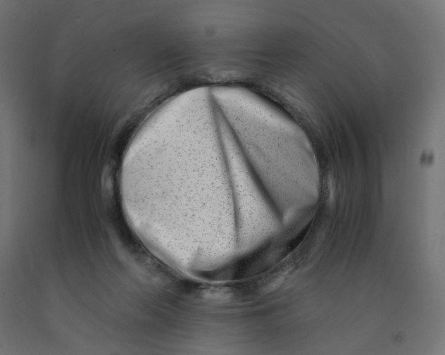 X0000090880214200708241947