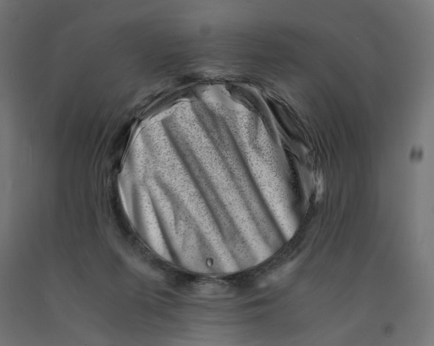 X0000090880215200708241947