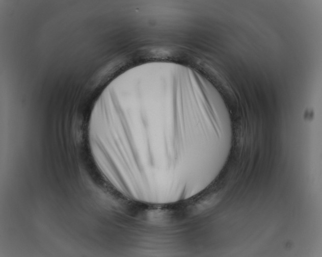 X0000090880216200708241947