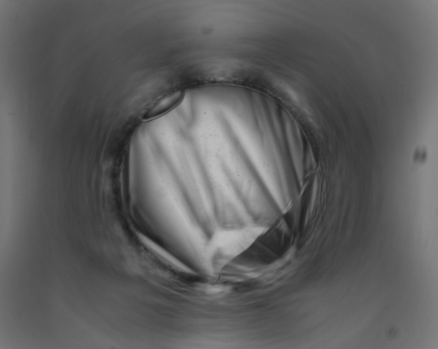 X0000090880217200708241947