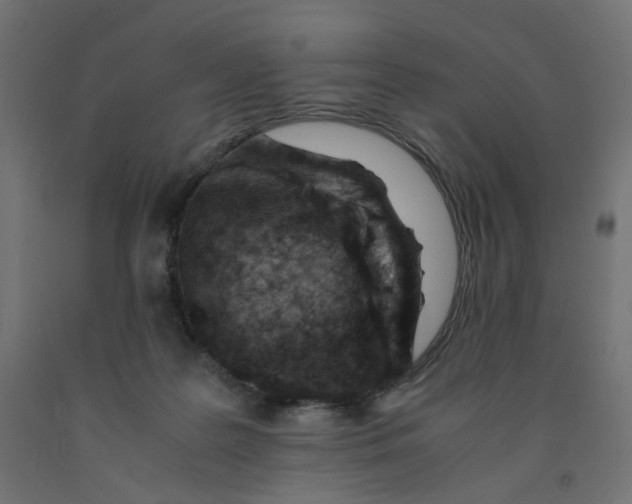 X0000090880219200708241947