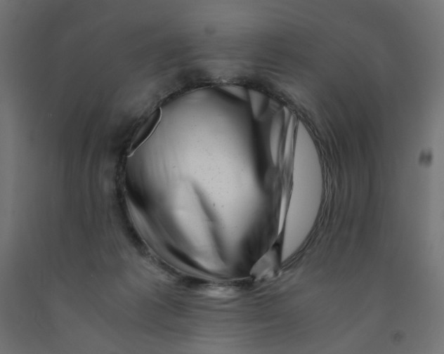 X0000090880221200708241947