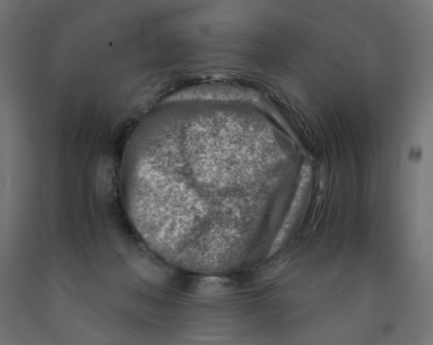 X0000090880222200708241947