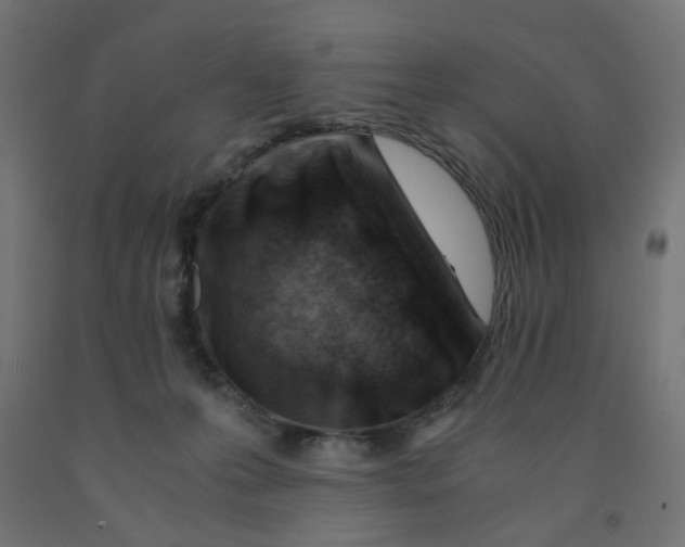 X0000090880223200708241947