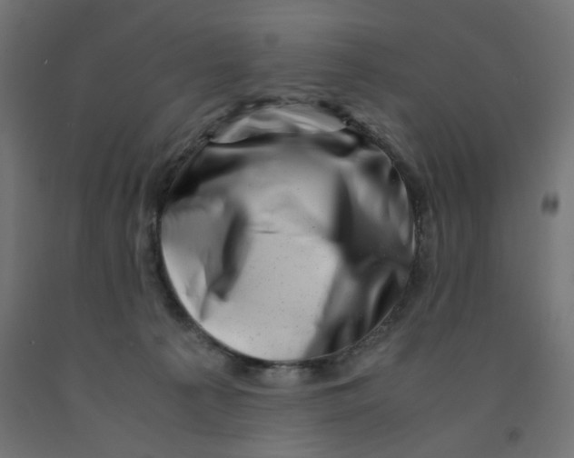 X0000090880225200708241947