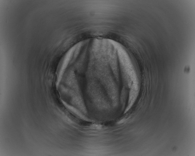 X0000090880227200708241947