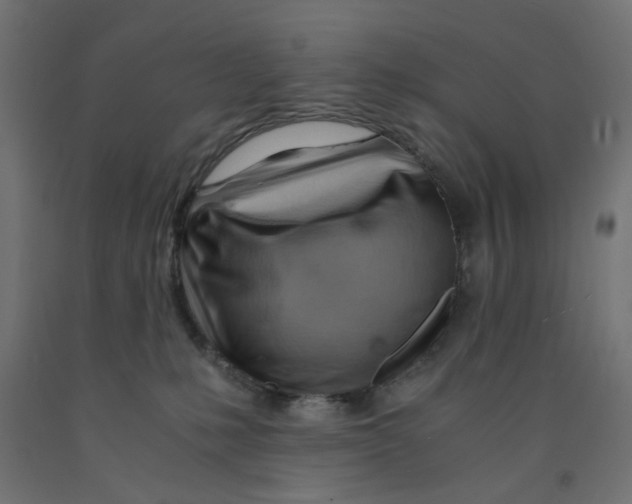 X0000090880231200708241947