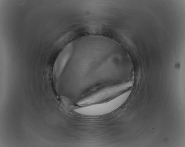 X0000090880233200708241947