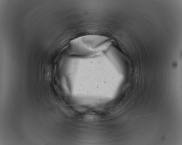 X0000090880234200708241947