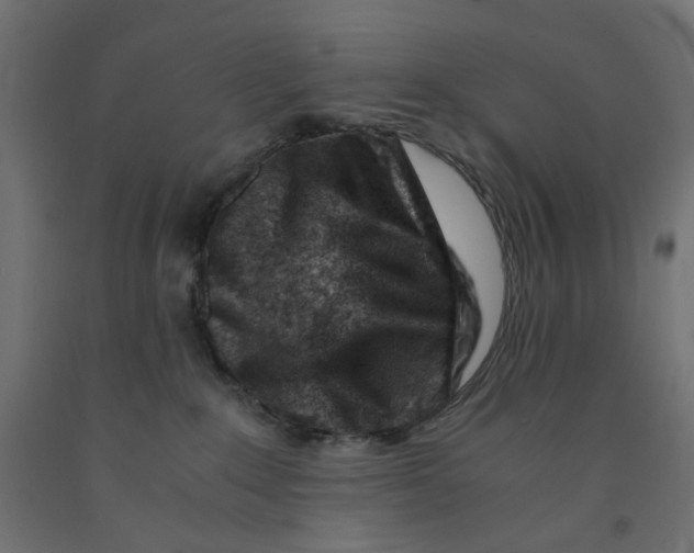 X0000090880235200708241947