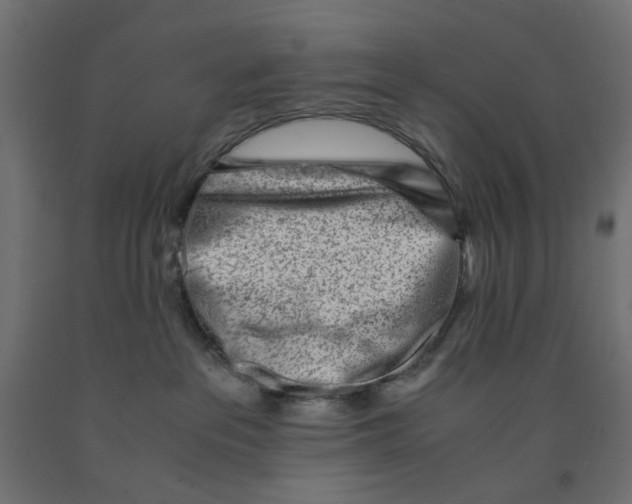 X0000090880237200708241947