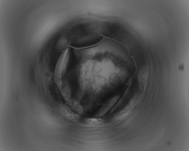 X0000090880239200708241947