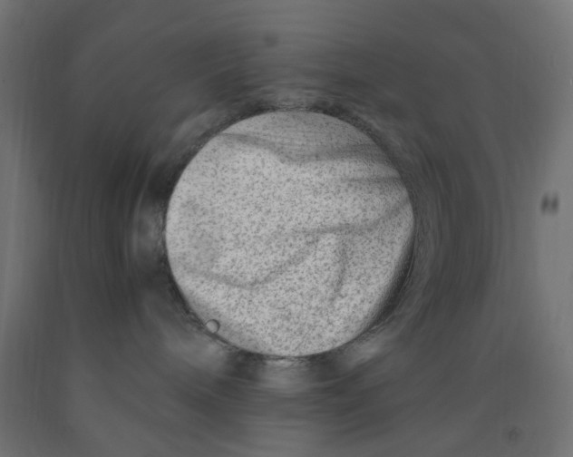 X0000090880240200708241947