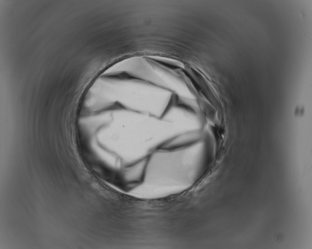 X0000090880241200708241946