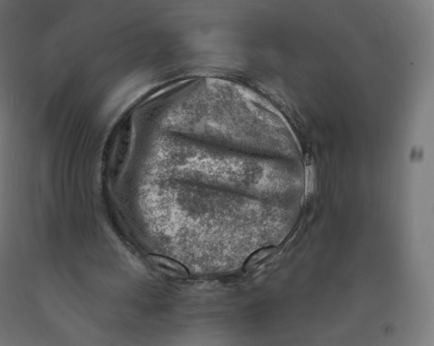 X0000090880243200708241946