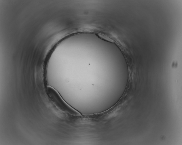 X0000090880244200708241946