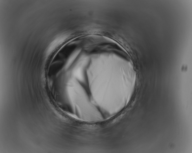 X0000090880245200708241946