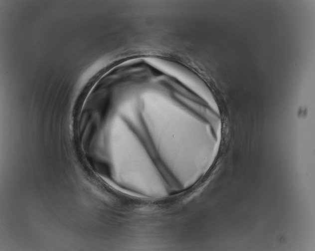 X0000090880246200708241946